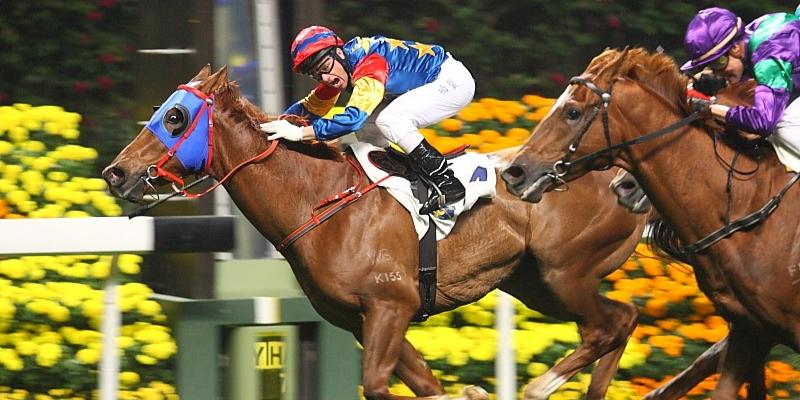 Cá độ đua ngựa lôi cuốn chỉ có tại Lucky Sports