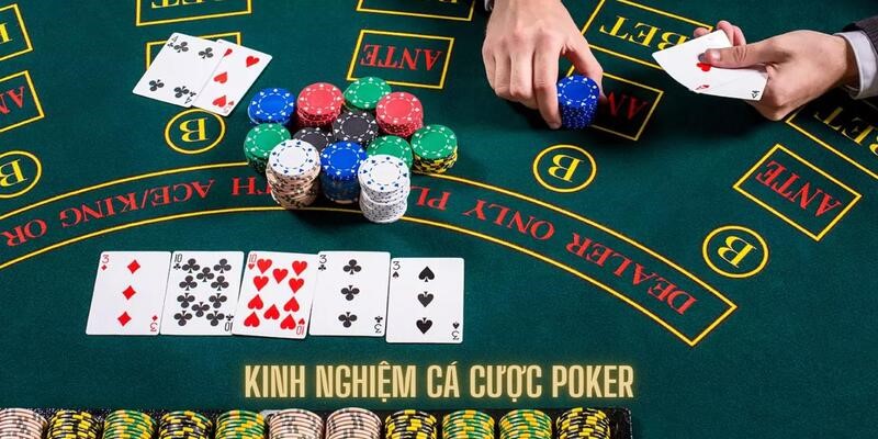 Những kinh nghiệm xương máu giúp tận dụng cơ hội tốt