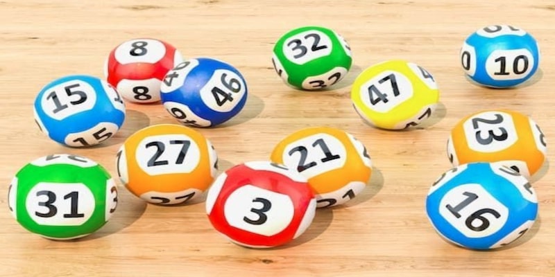 5 ngày nuôi song thủ đạt hiệu quả cao